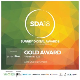 Surrey Digital Award